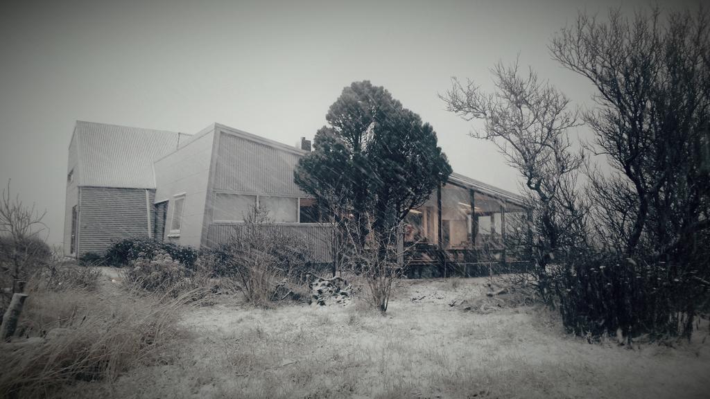 Eyvindarholt Guesthouse Álftanes المظهر الخارجي الصورة